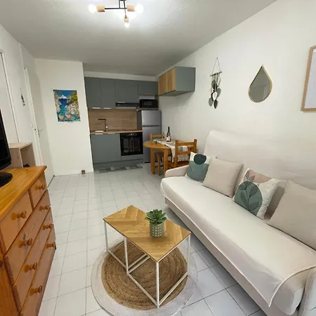 Tres Joli T2 Terrasse, Parking Cap 300m Richelieu 아그