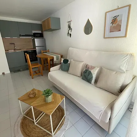 Tres Joli T2 Terrasse, Parking Cap 300m Richelieu * 아그